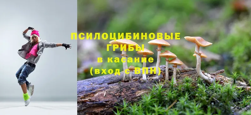 Псилоцибиновые грибы Psilocybe  МЕГА рабочий сайт  Алушта 